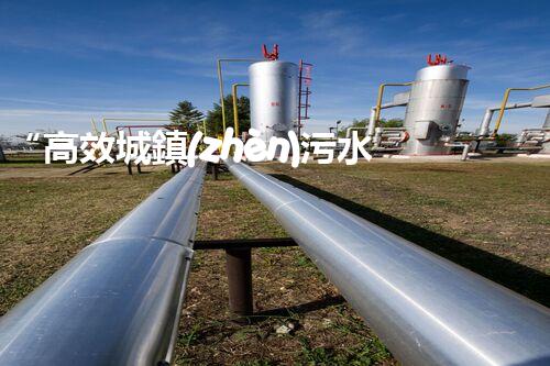 “高效城鎮(zhèn)污水處理流程，守護(hù)碧水藍(lán)天新篇章”